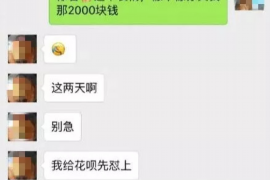 桦甸为什么选择专业追讨公司来处理您的债务纠纷？